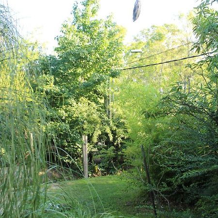 Hostel Resiliencia La Barra Zewnętrze zdjęcie